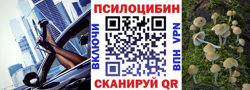 hydra маркетплейс хочу наркоту Вичуга Псилоцибиновые грибы Psilocybe